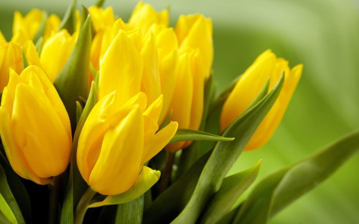 Ищем SMM-специалиста город Ош🚀